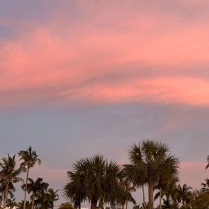 Meet your Posher, Chloe